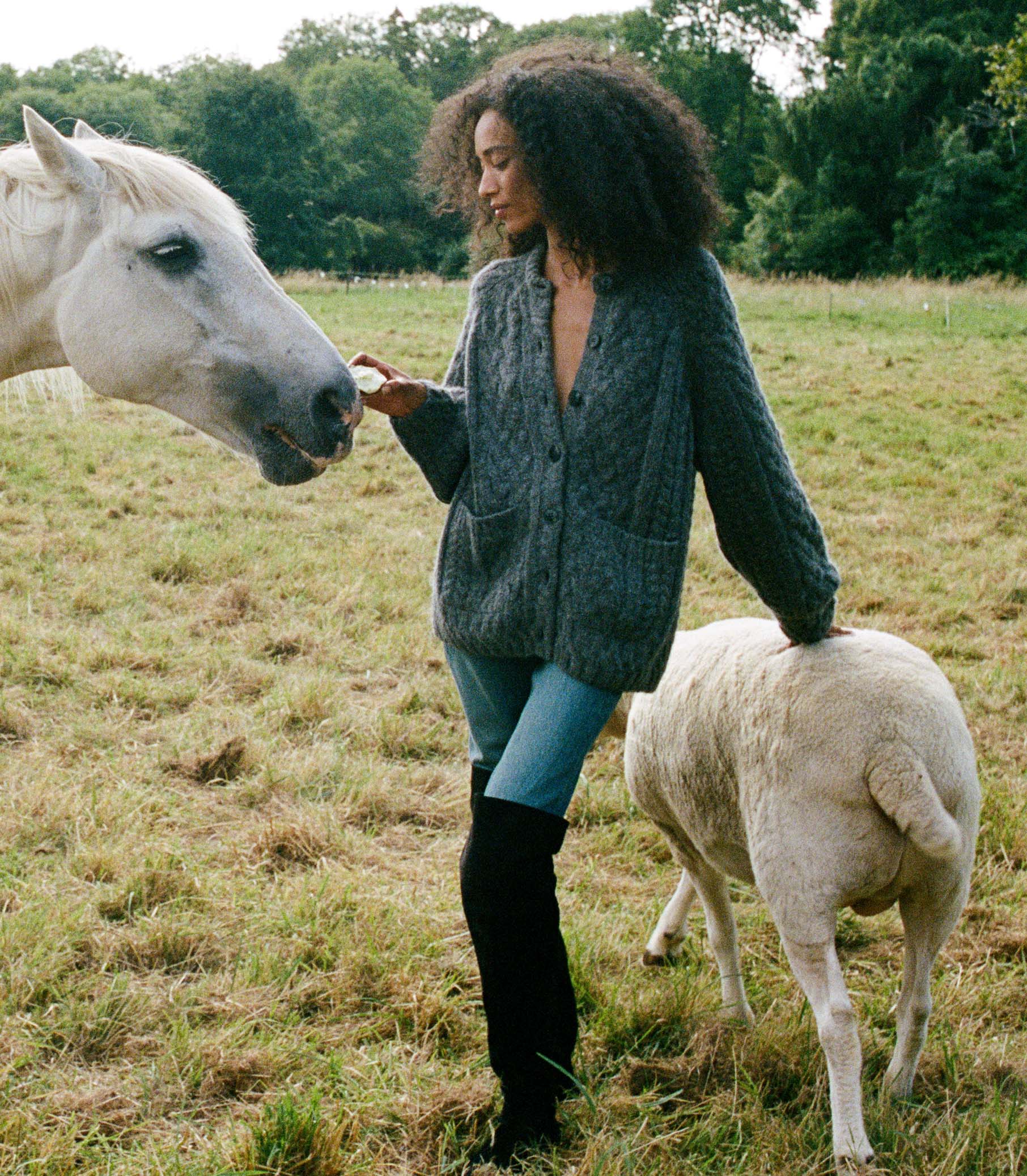 CALDWELL CARDIGAN -- CHARCOAL | FALL 24