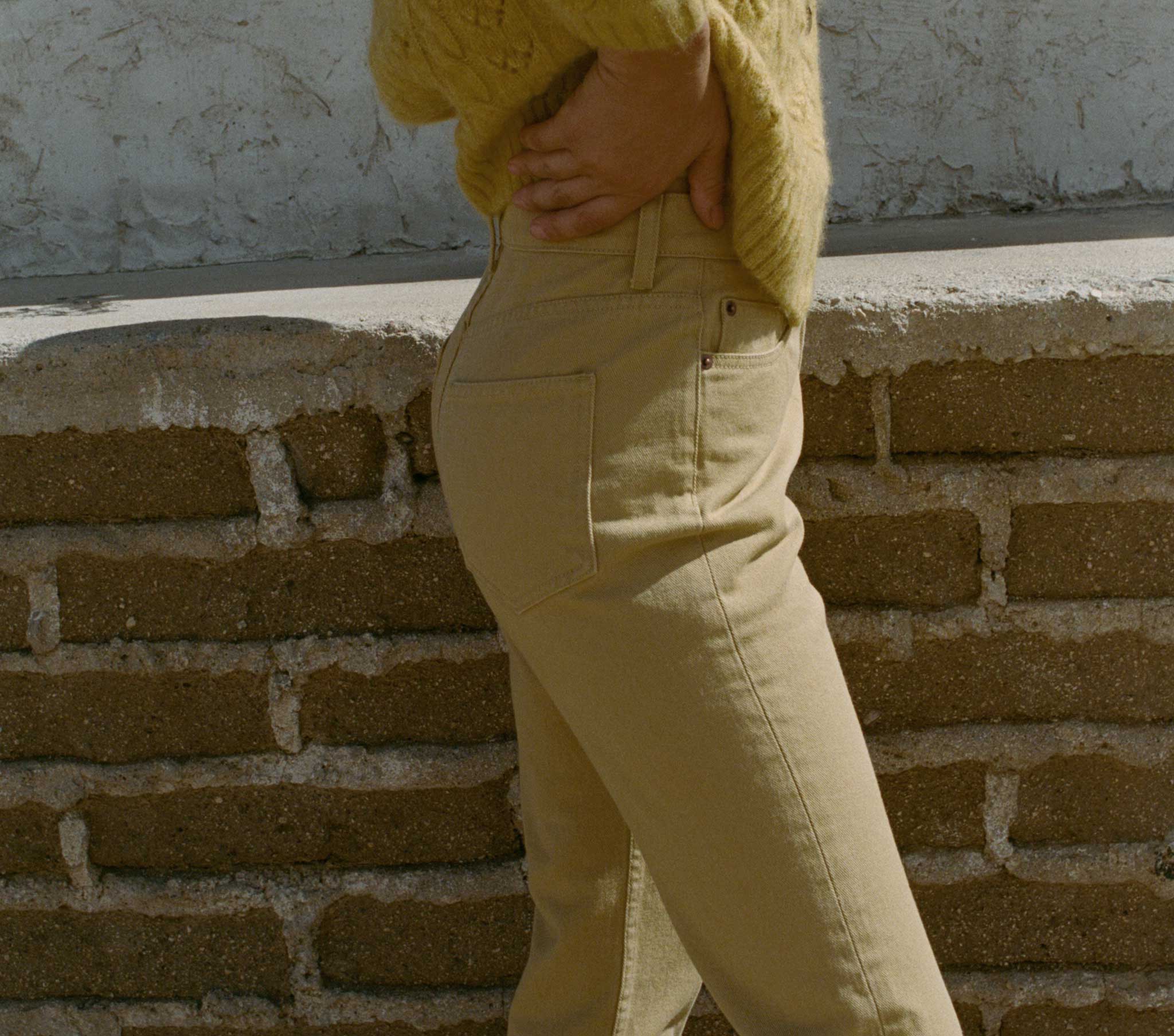 DIANA JEAN -- PALOMINO | FALL 22