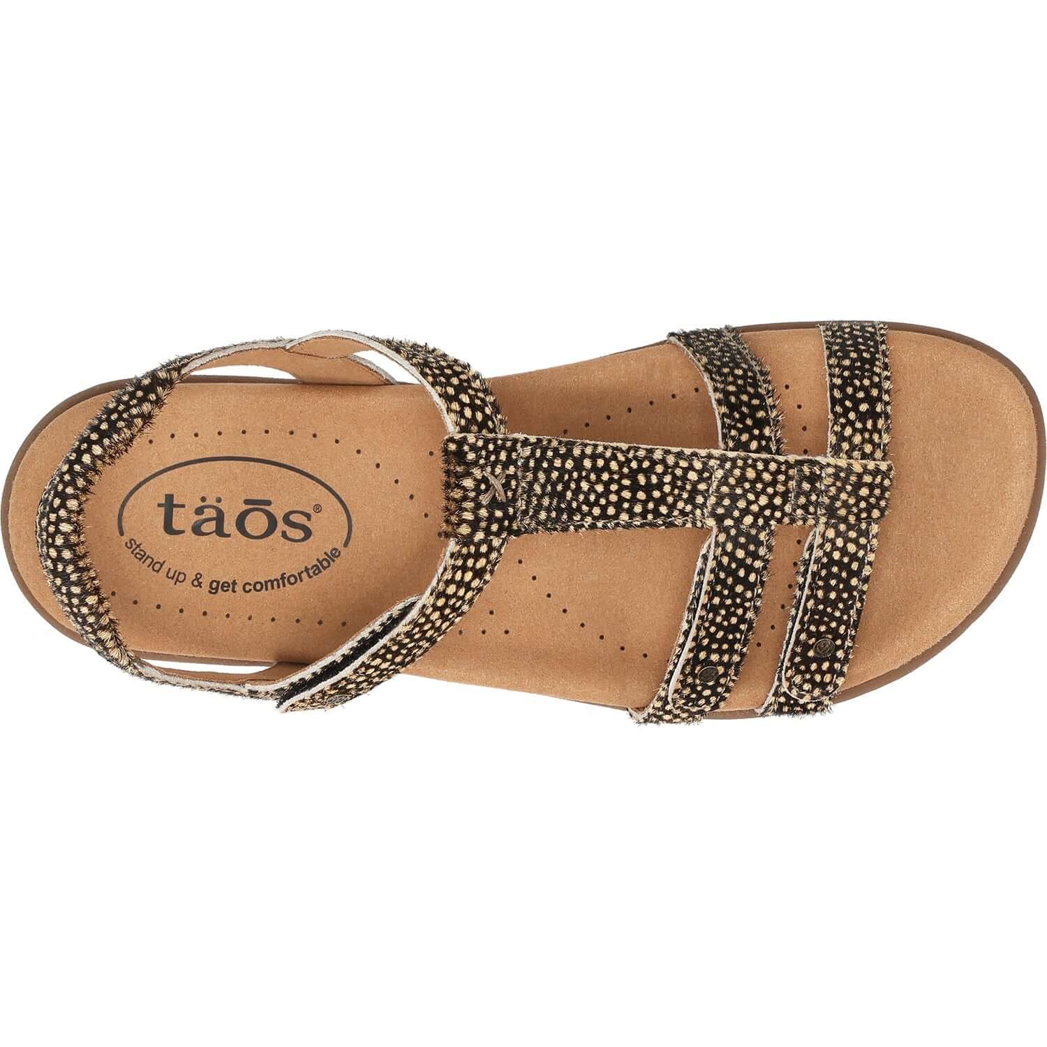 Women's Taos Trophy 2 Black/Camel Spotted Multi Leather